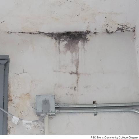 06-Ceiling-4_091521.jpg