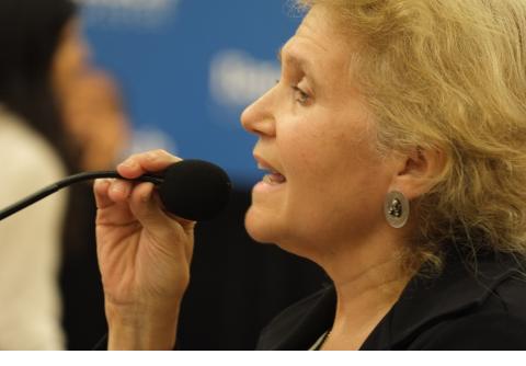Susan DiRaimo