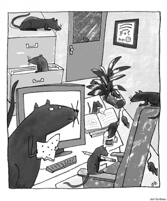 10-Rat-illo-by-Jud-Guitteau.jpg