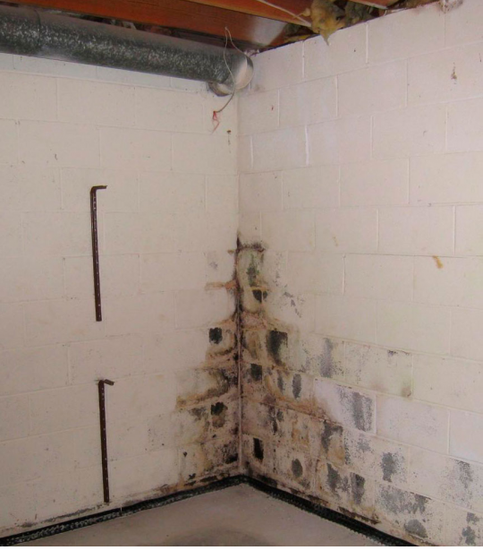 08-mold.jpg