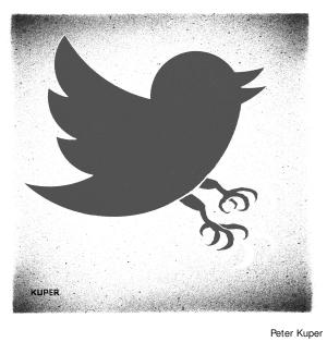 11-Twitter-hawk.jpg